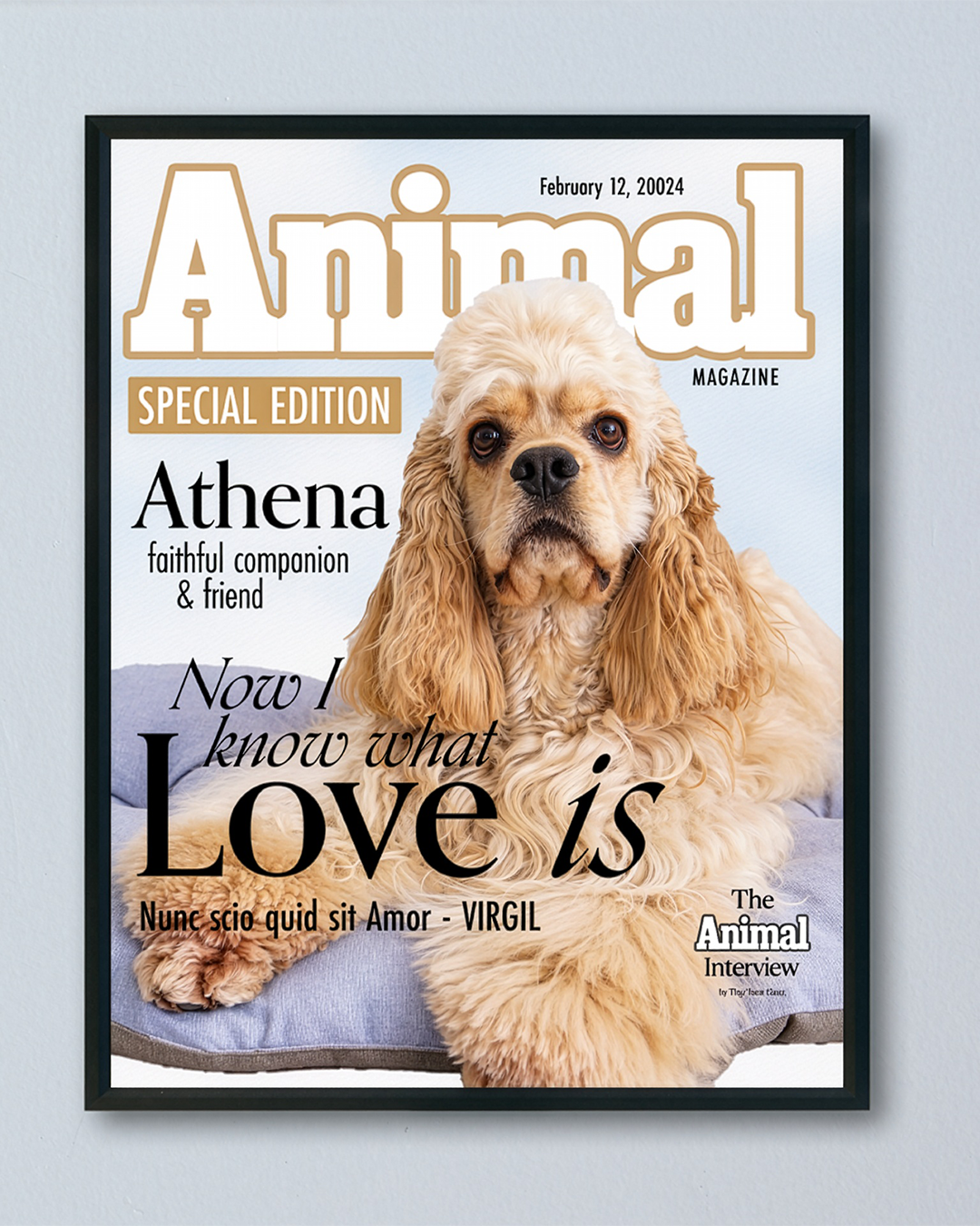 portfolio by ldj brands